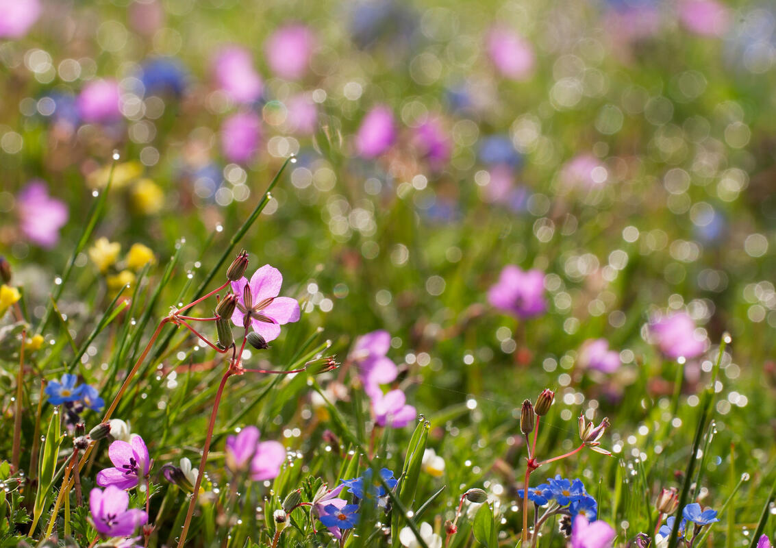 Greece,April
