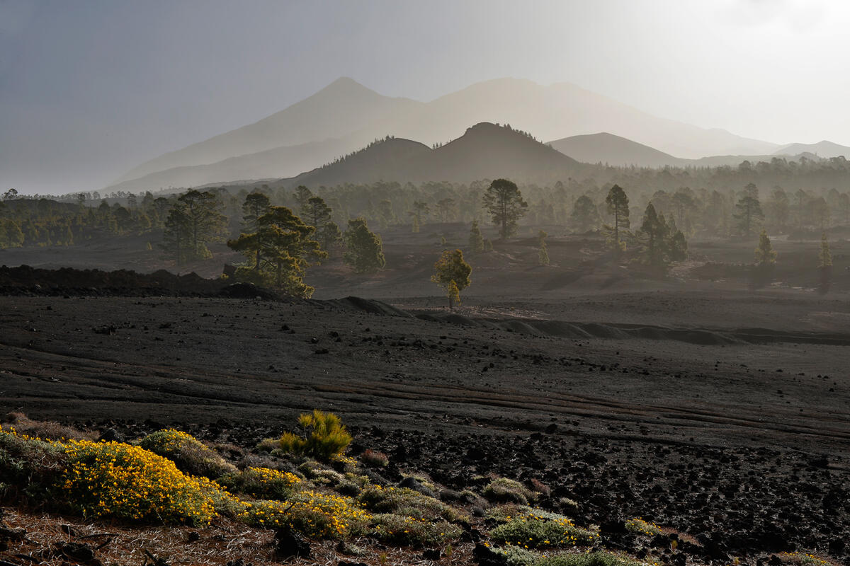 Tenerife