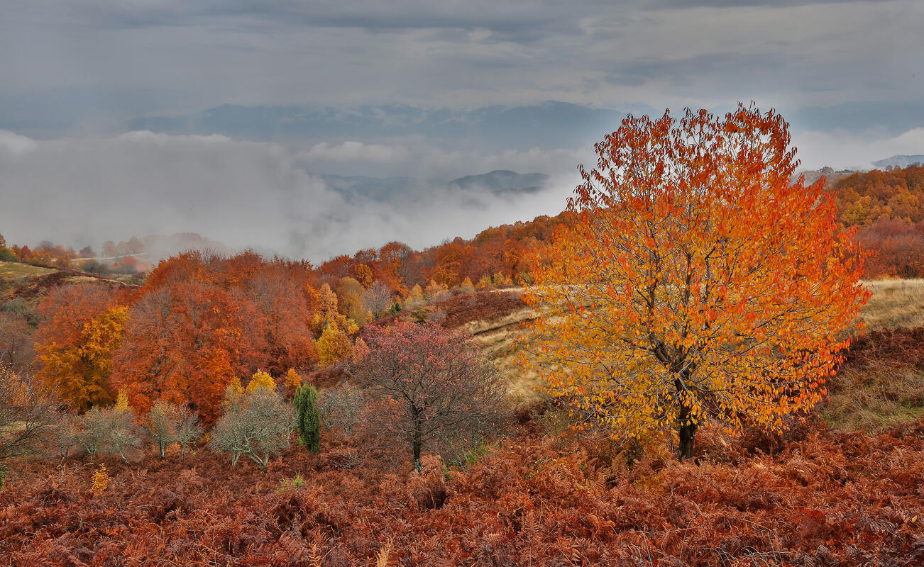 Bulgaria in autumn colors – landscape photography