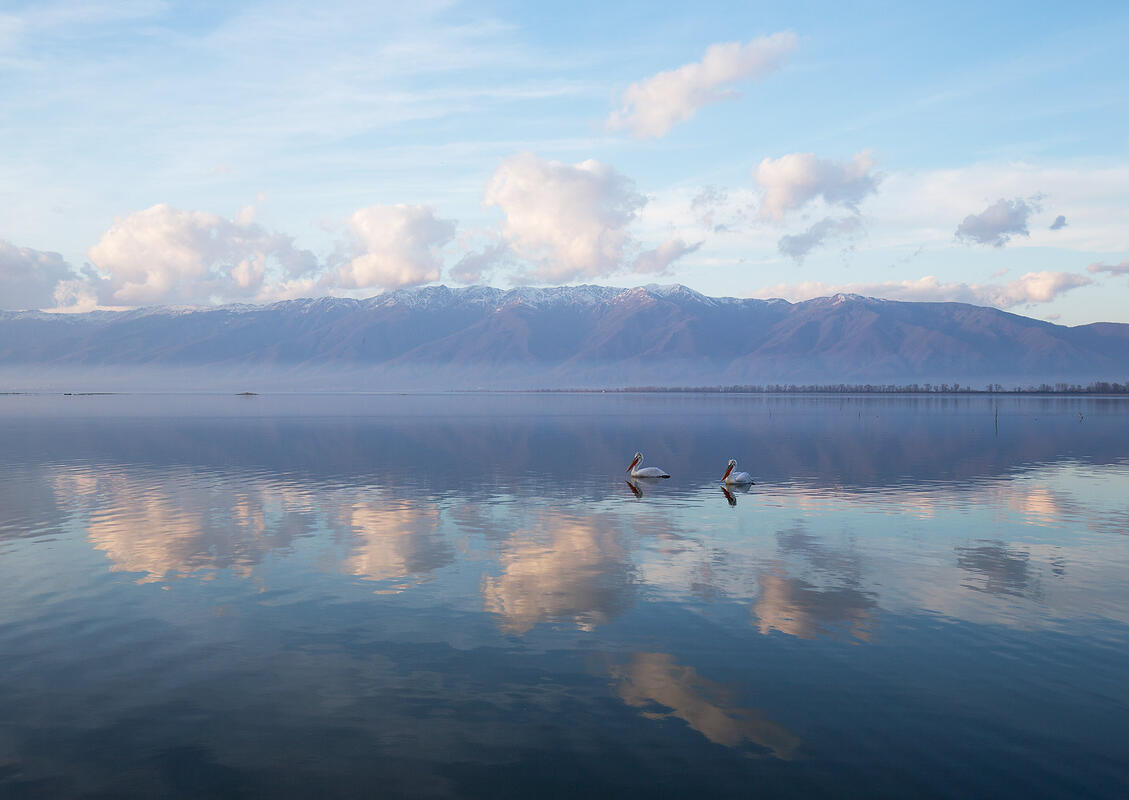 lake Kerkini, sunset