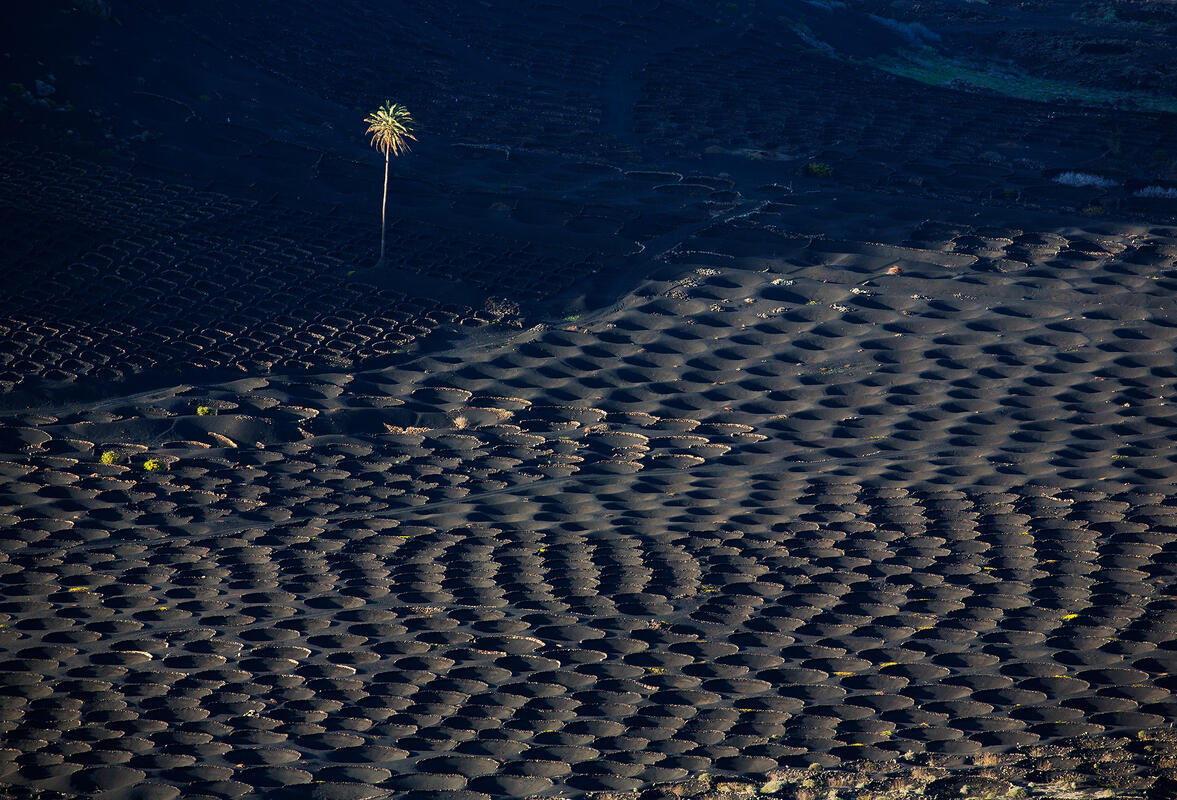 Lanzarote, 