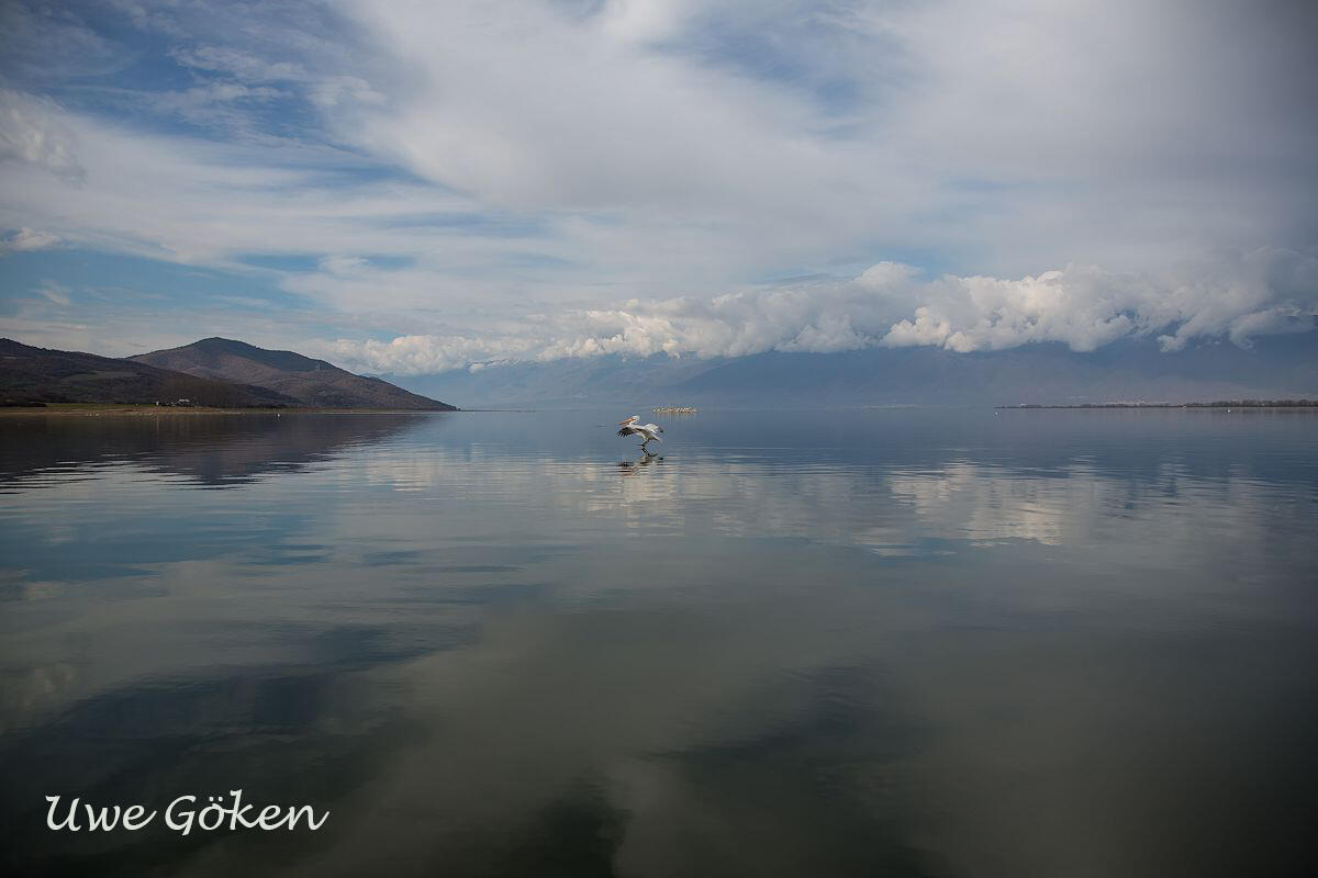 Uwe Göken, Lake kerkini , Greece