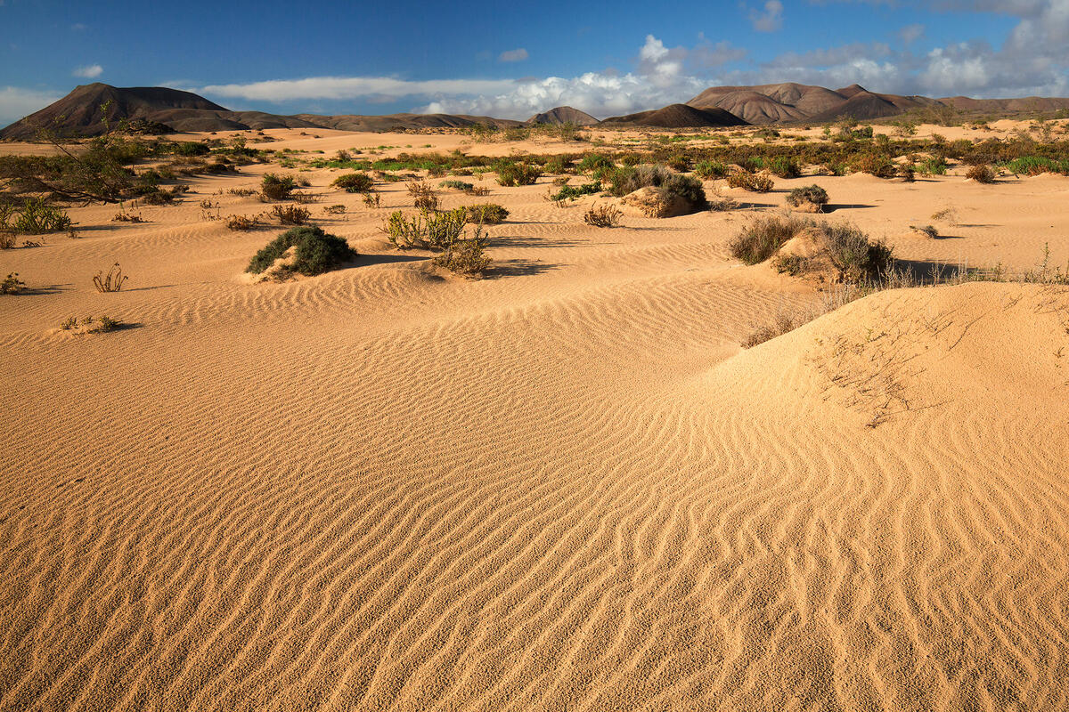 Furteventura, 