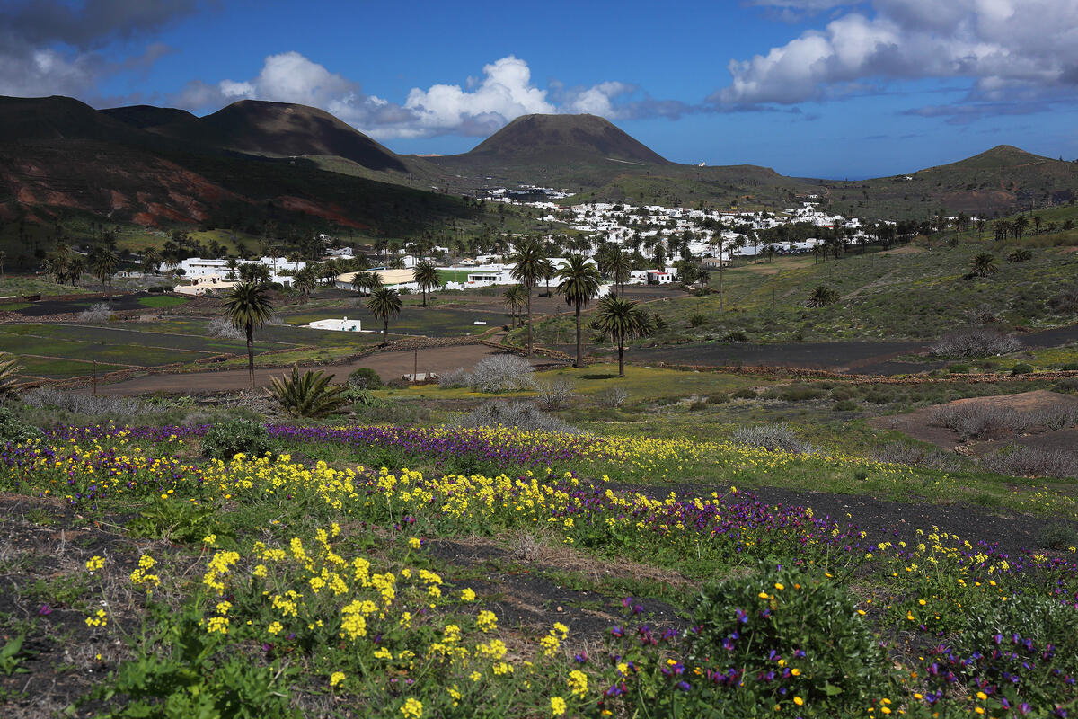 Lanzarote, Haria