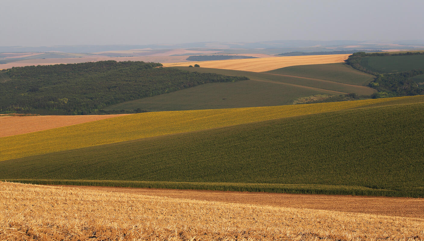 The Land near Danube, North Bulgaria 