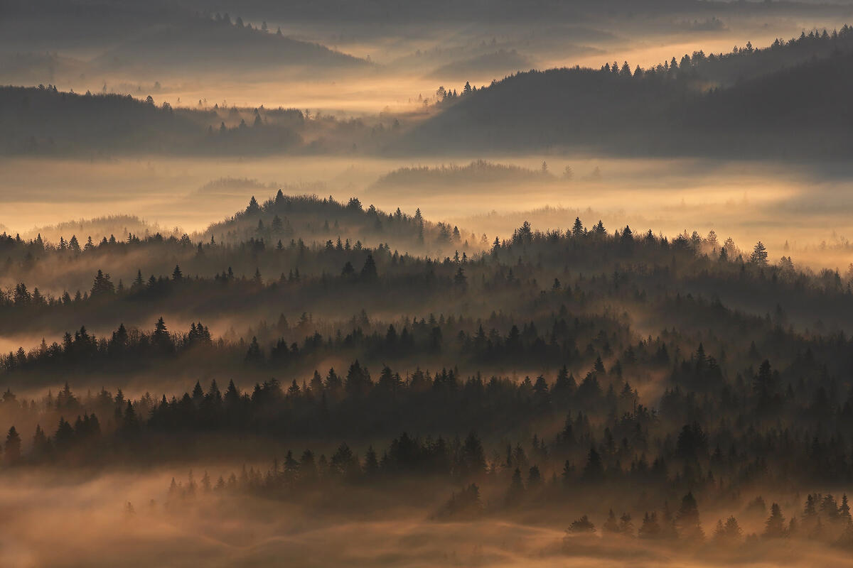 Pindus National Park
