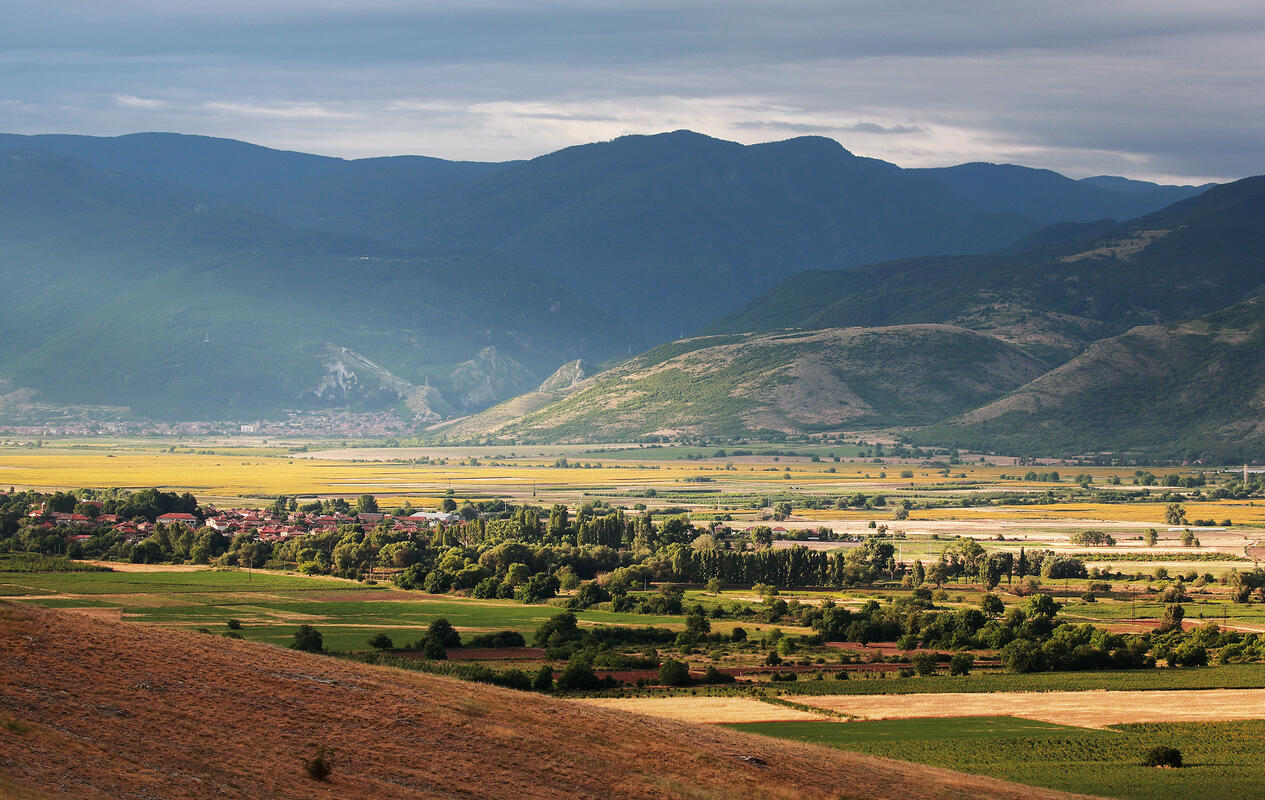 lowlands with Rodopi mountain background 