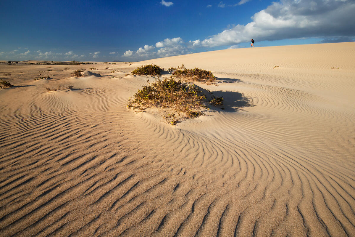 Furteventura,  Corralejo National Park