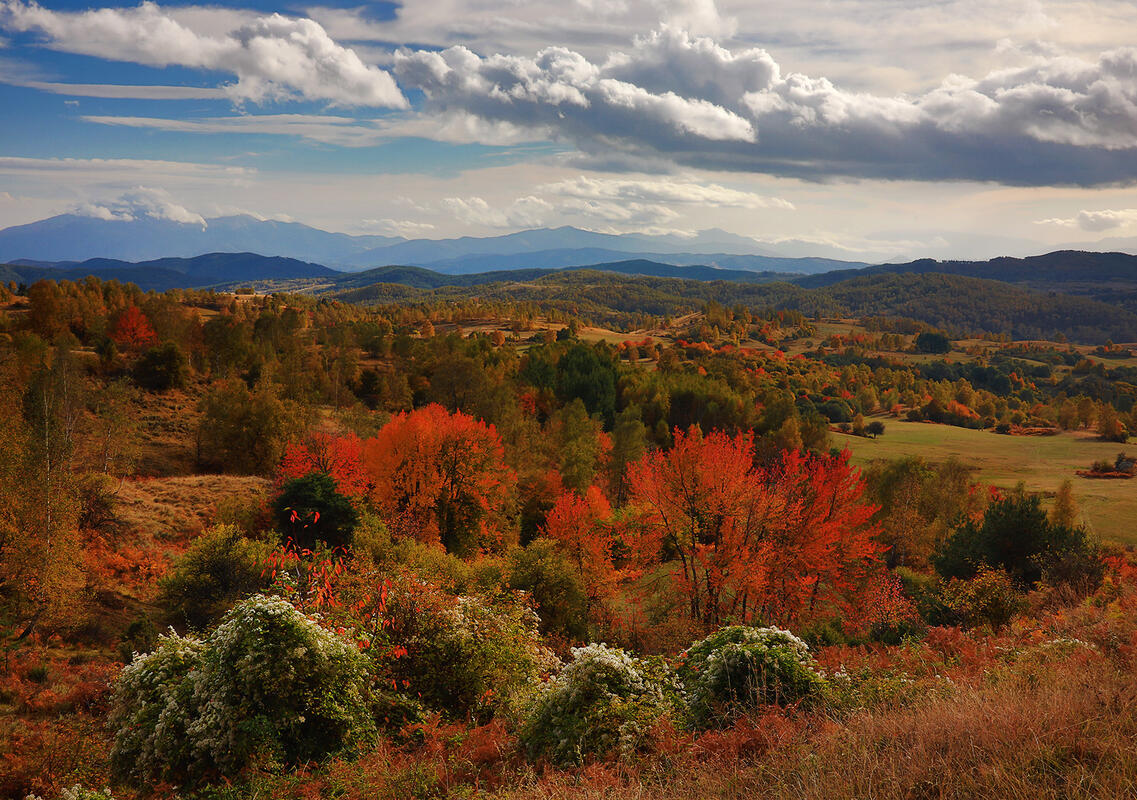 Bulgaria in autumn colors 