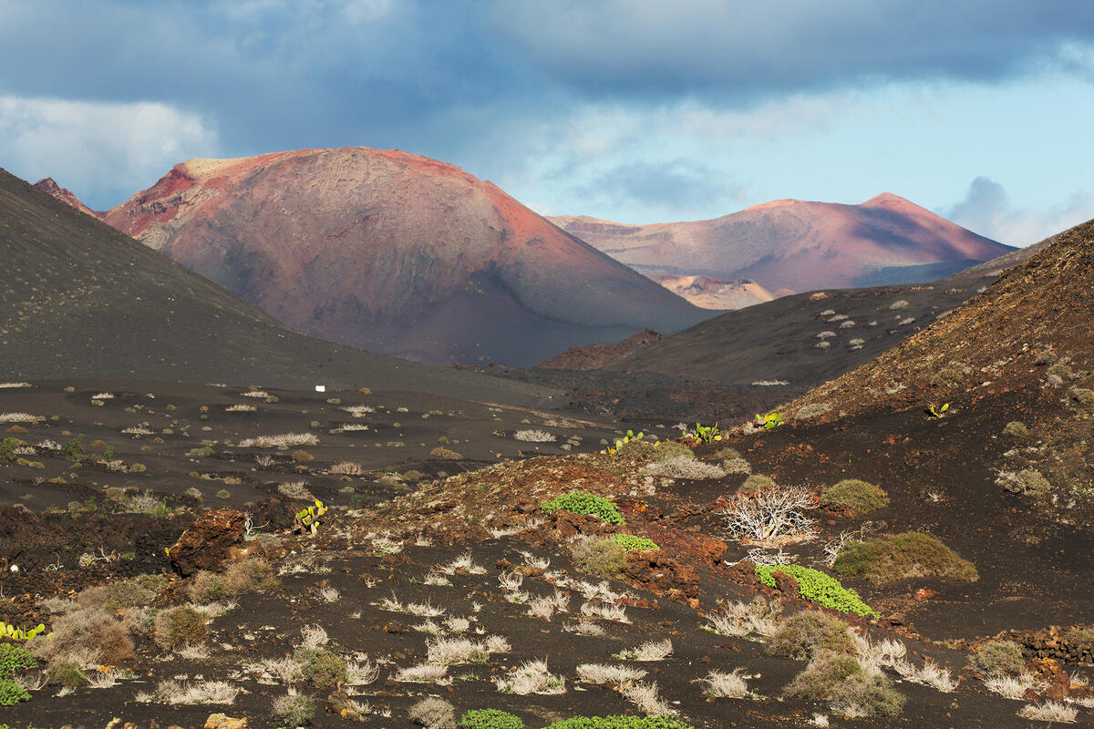 Lanzarote, 