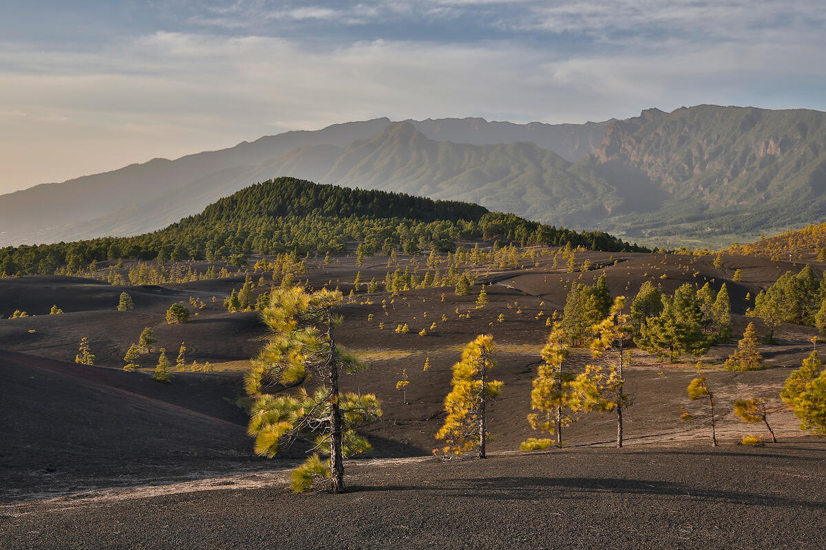 La Palma,