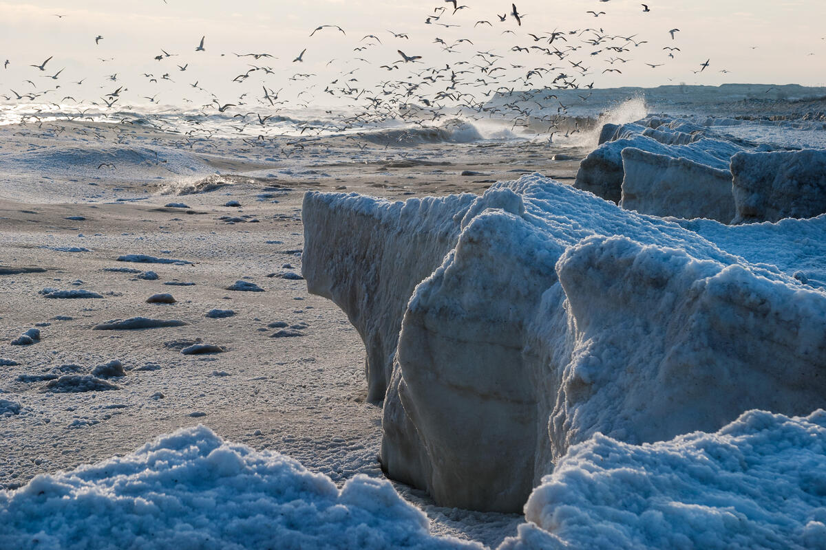 Frozen see near Shabla