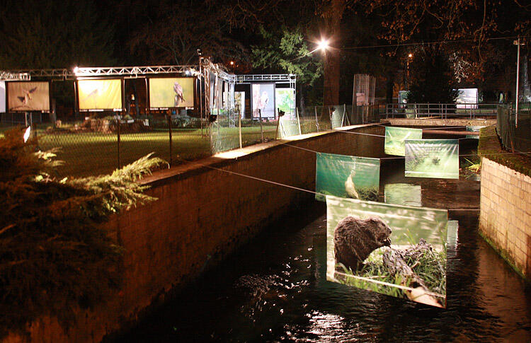 Montier Photo Festival
