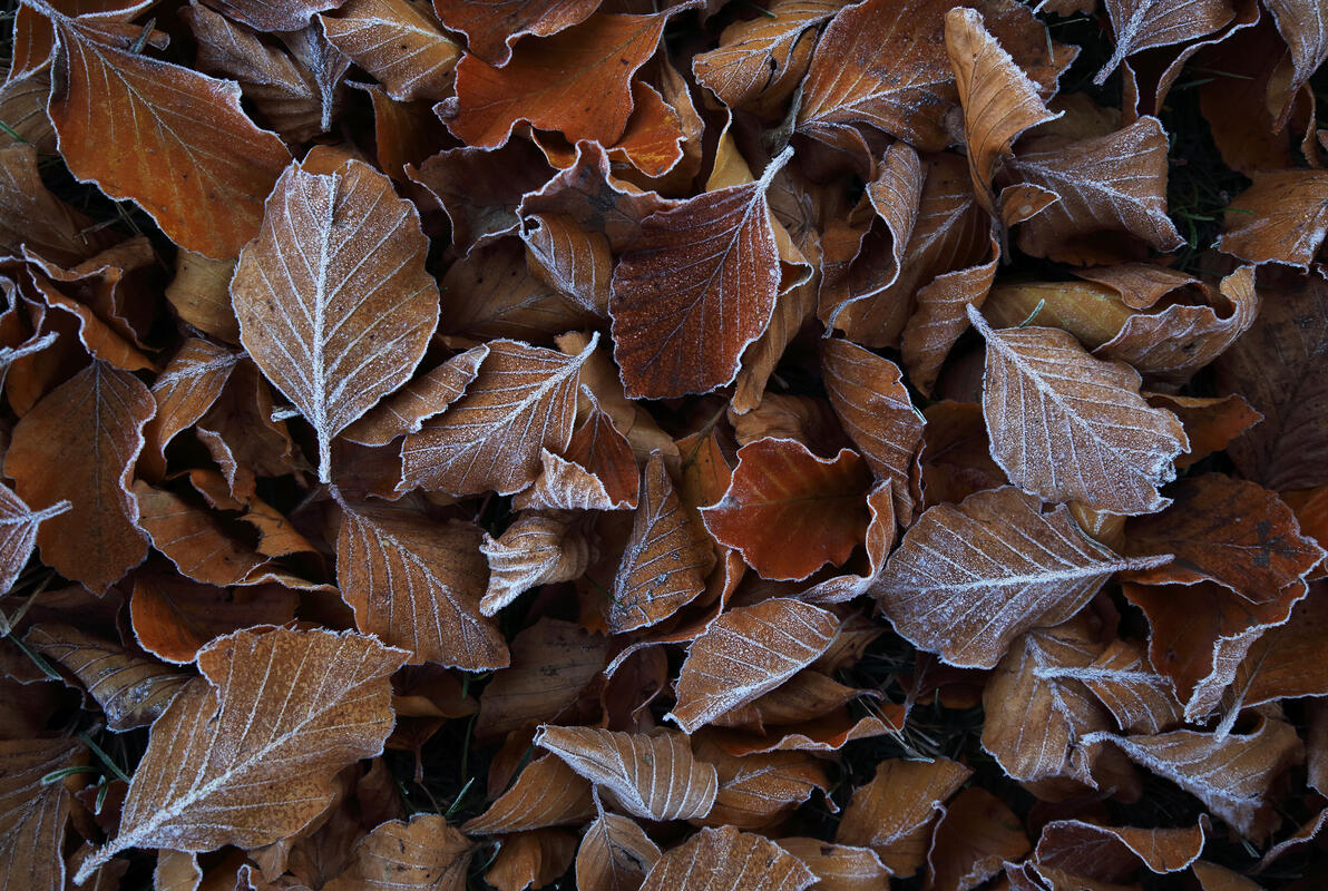 Bulgaria in autumn colors – landscape photography