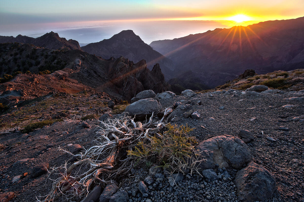 La Palma