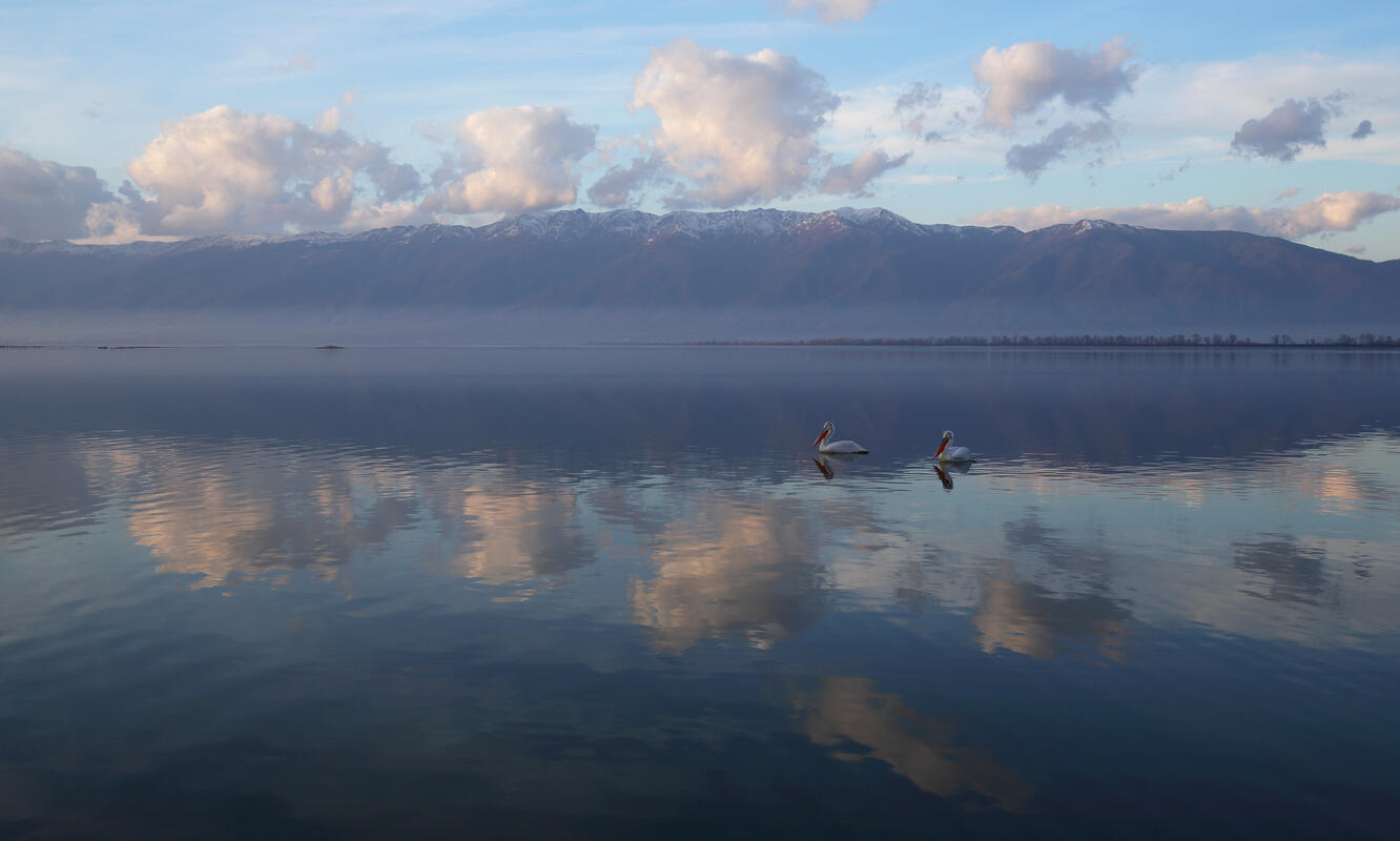 Lake Kerkini, Greece