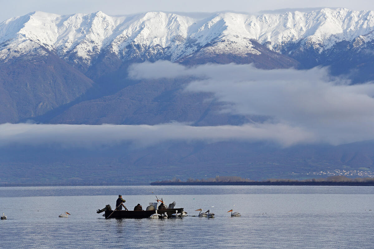   Lake Kerkini