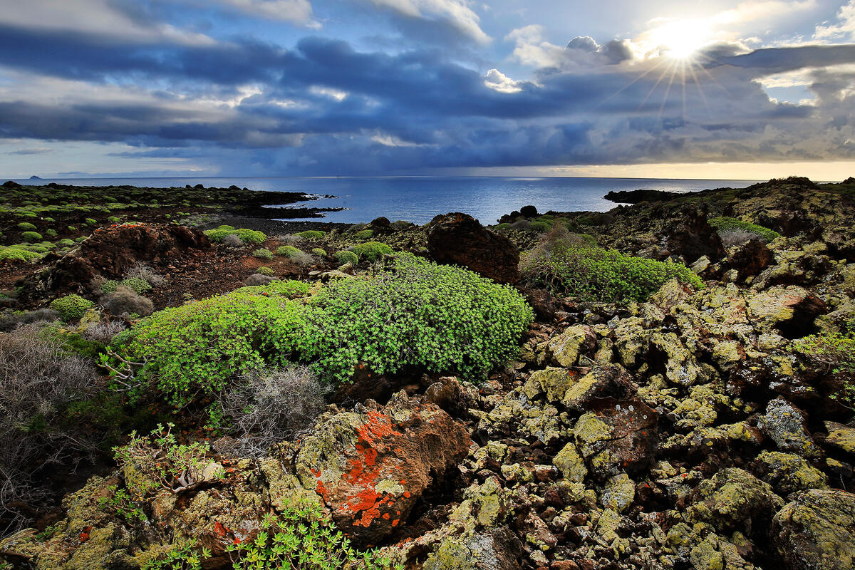 Lanzarote, 