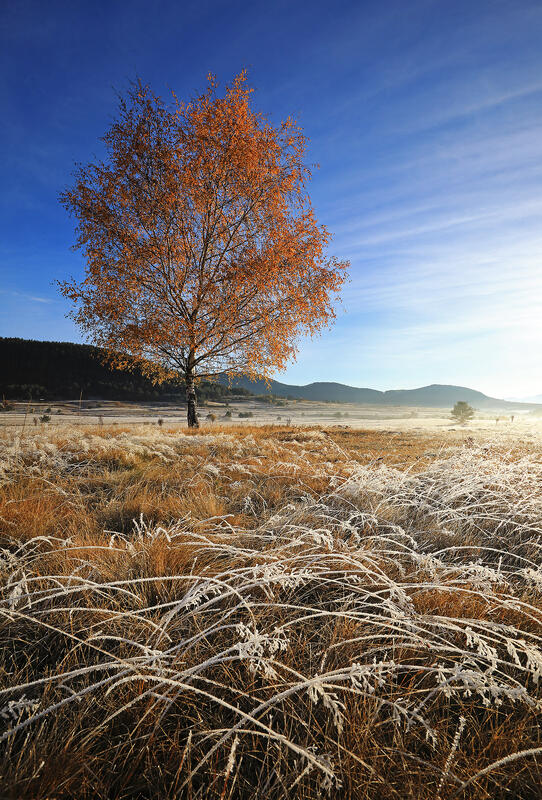 Bulgaria in autumn colors – landscape photography