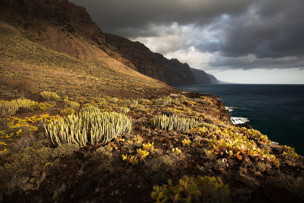 Tenerife,