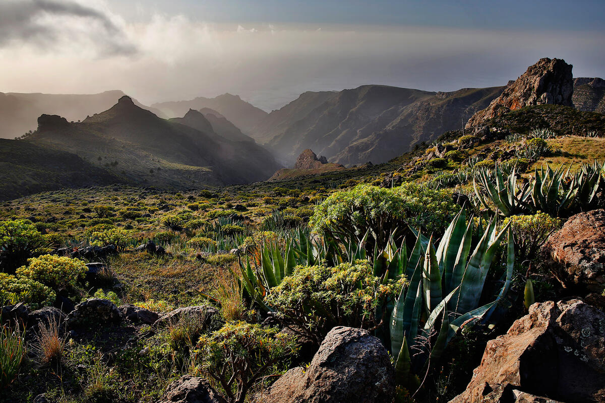 La Gomera,