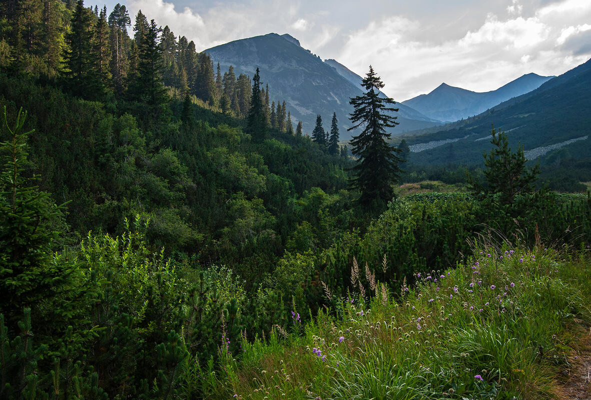landscape