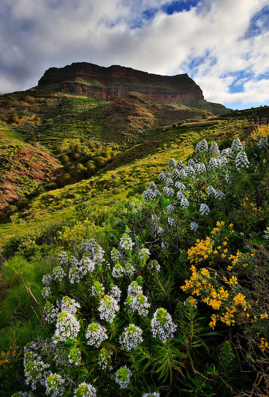 Gran Canaria, 