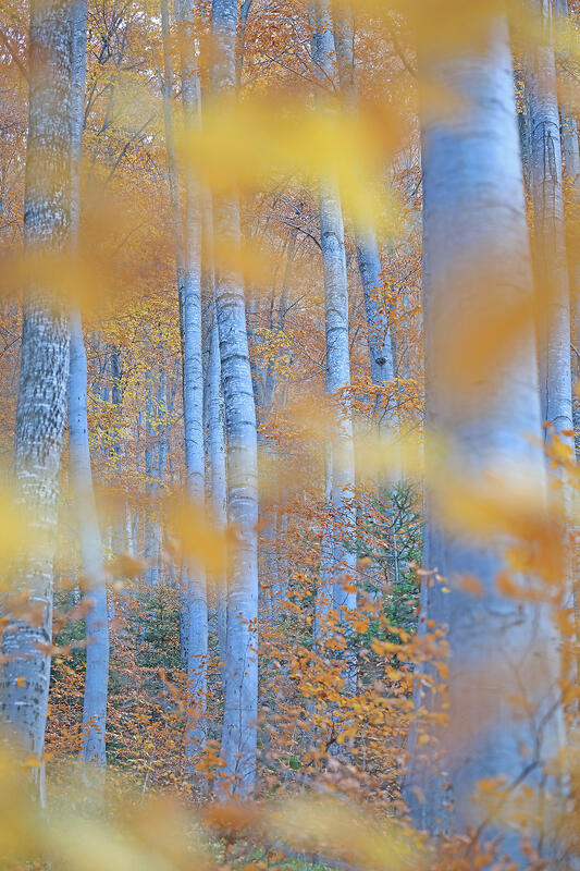 Bulgaria in autumn colors – landscape photography