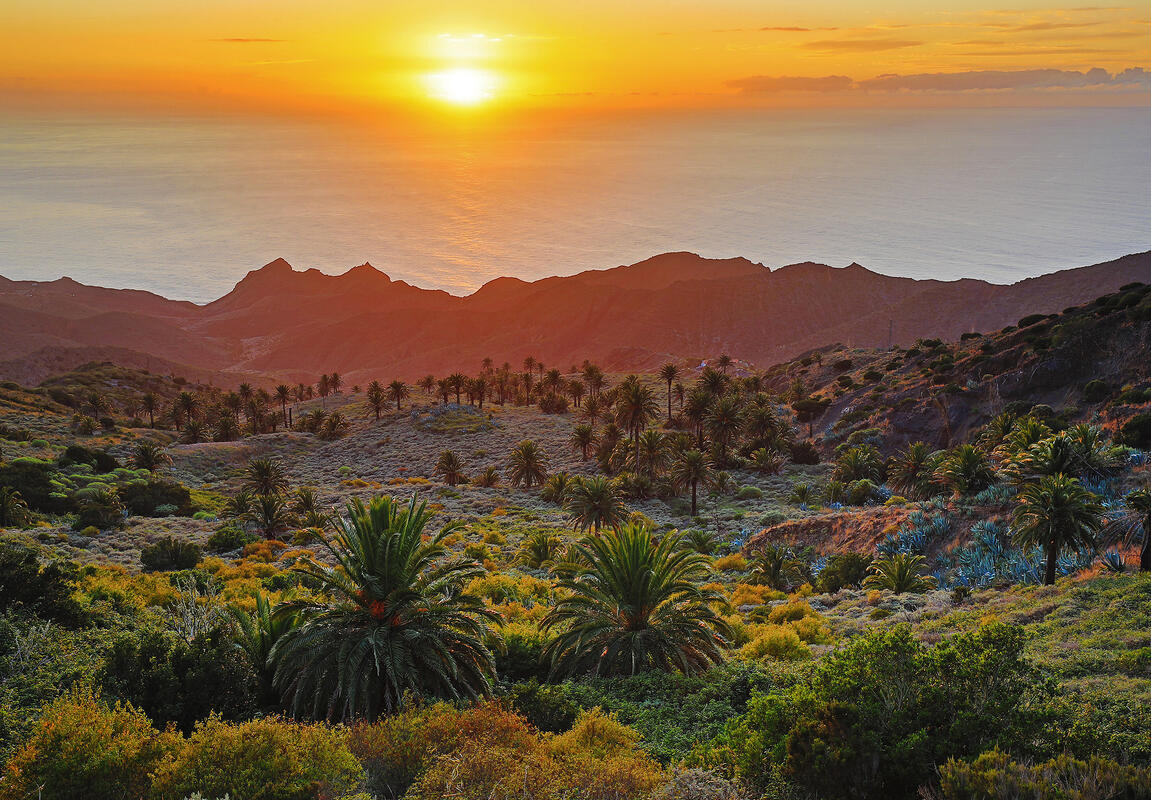 Gomera