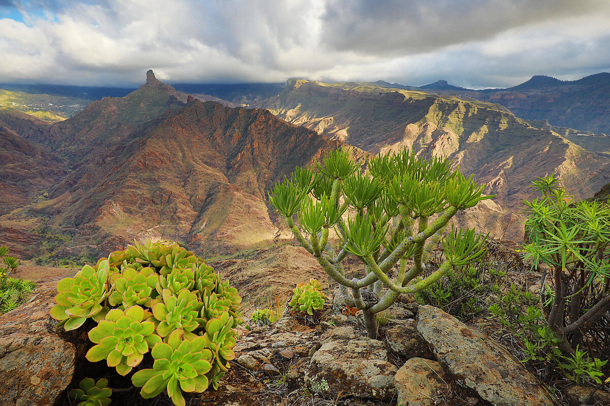 Gran Canaria