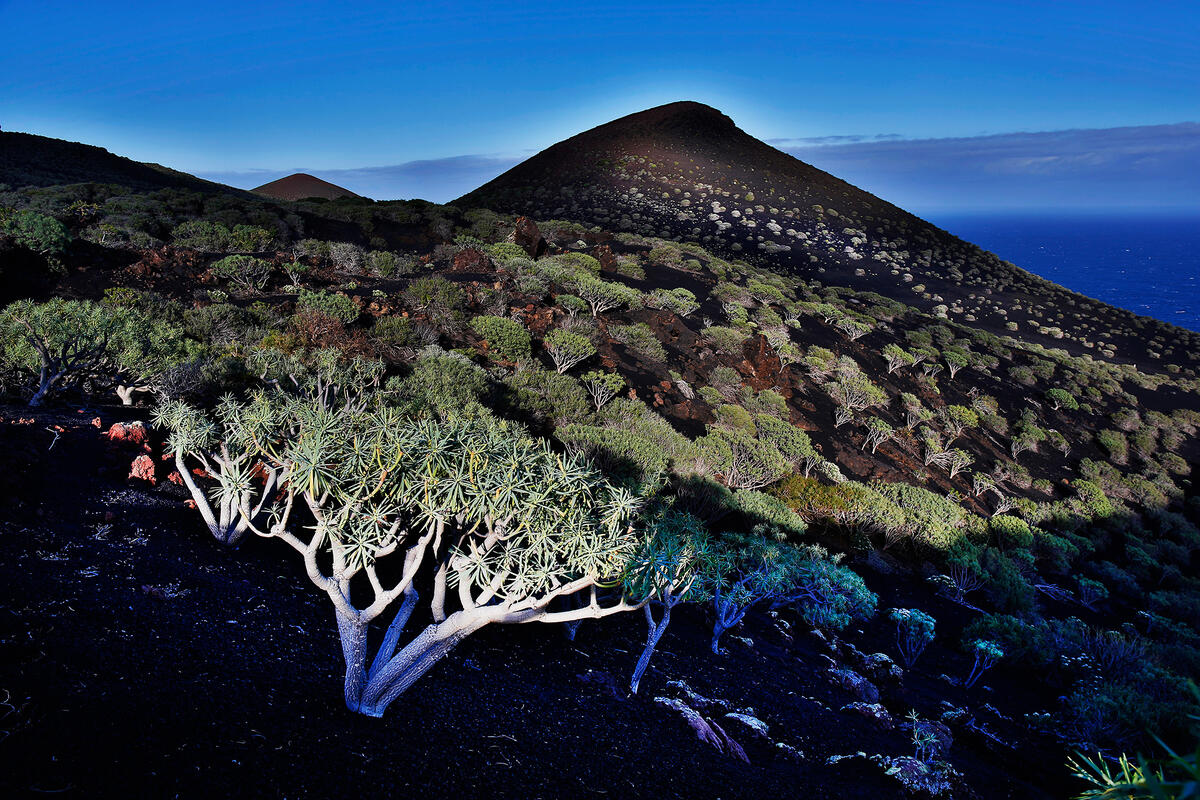 La Palma,
