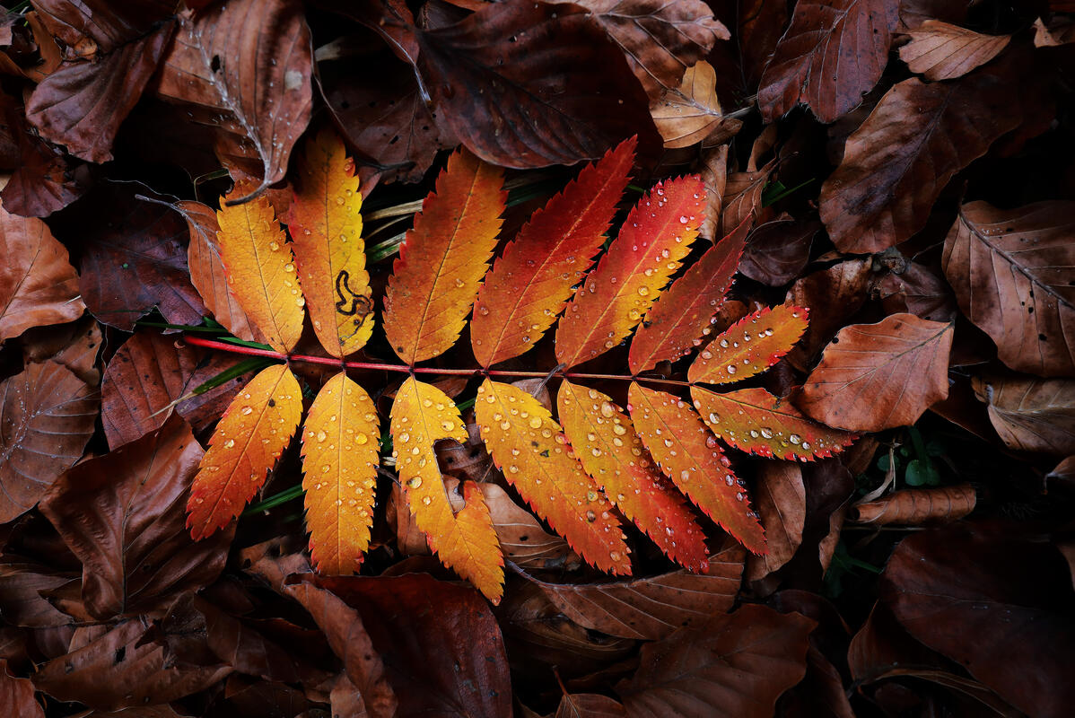 Bulgaria in autumn colors – landscape photography