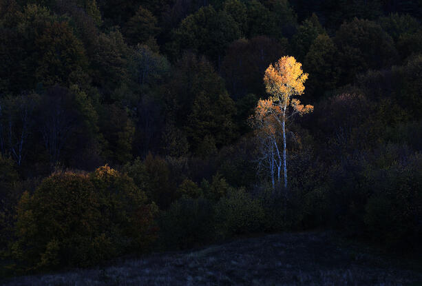 Bulgaria in autumn colors – landscape photography