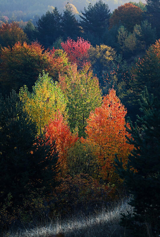 Bulgaria in autumn colors 