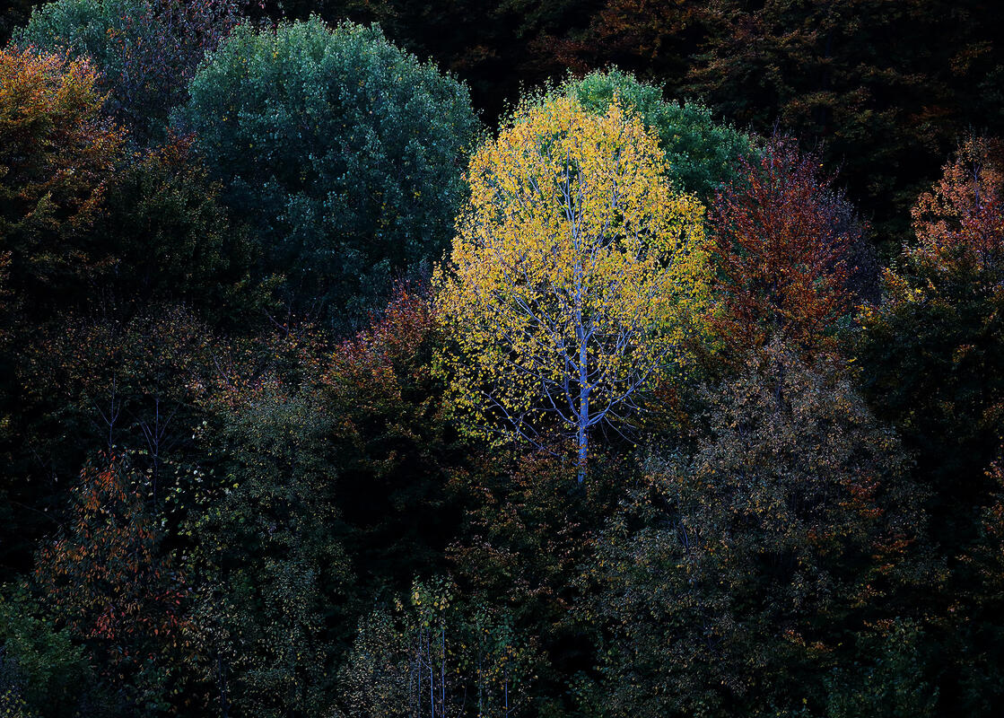 Bulgaria in autumn colors 