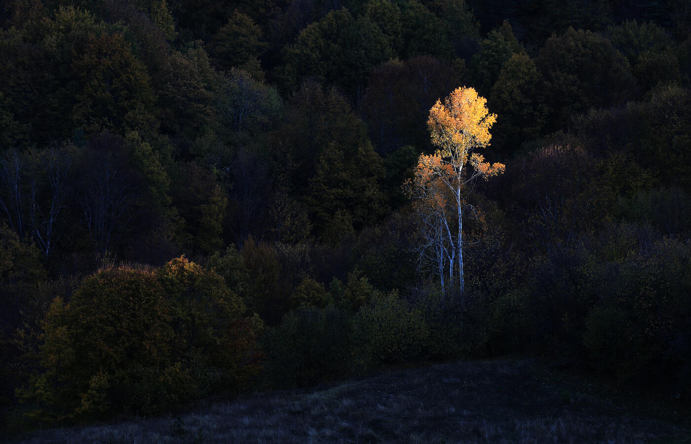 Bulgaria in autumn colors – landscape photography