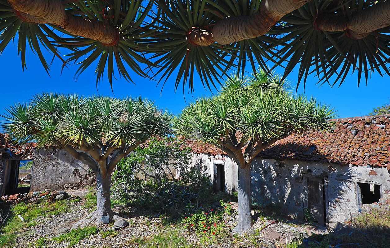 Tenerife