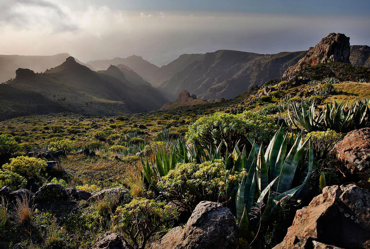 Gomera