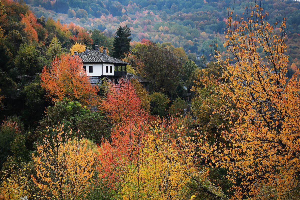 Bulgaria in autumn colors 