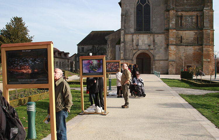 Montier Photo Festival