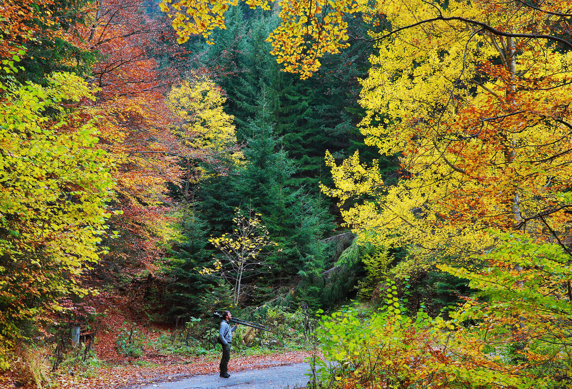 Bulgaria in autumn colors – landscape photography