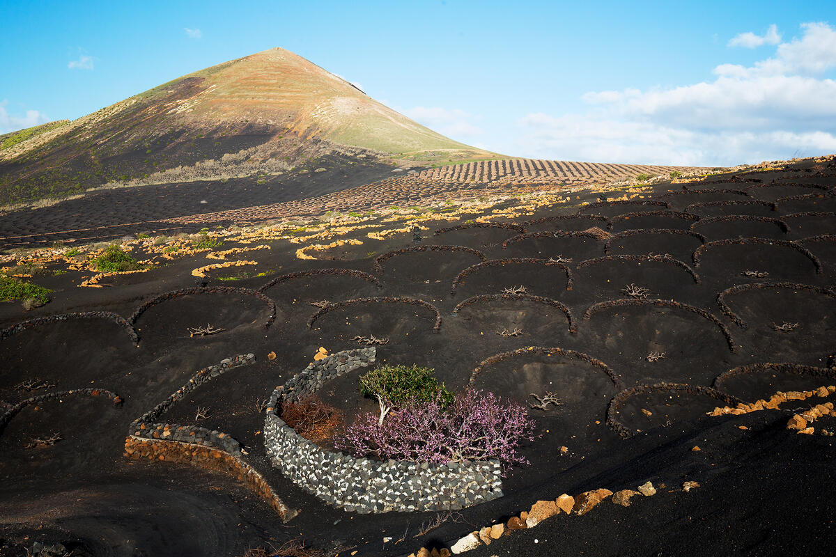 Lanzarote, 