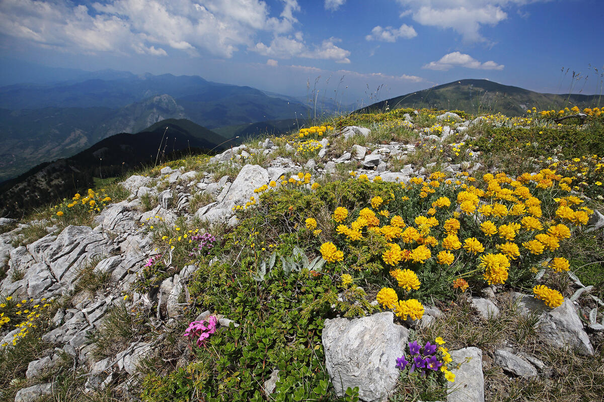 Slavjanka mountain
