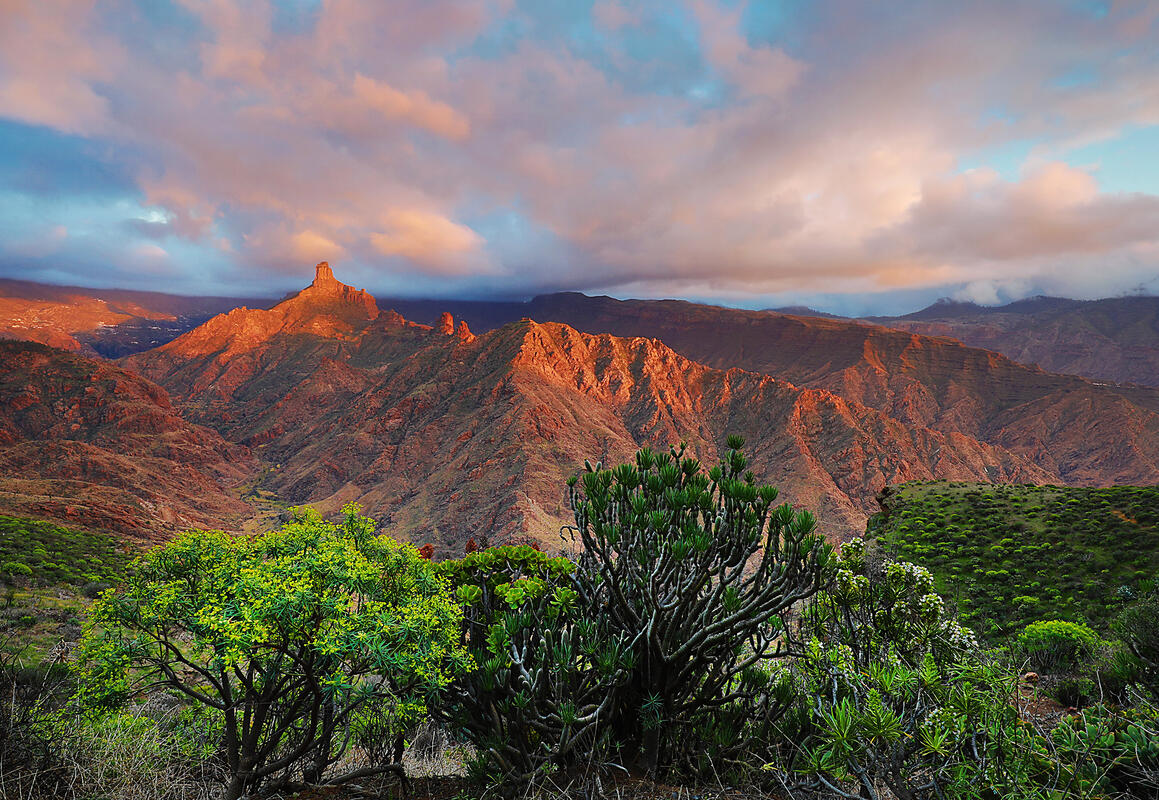 Gran Canaria
