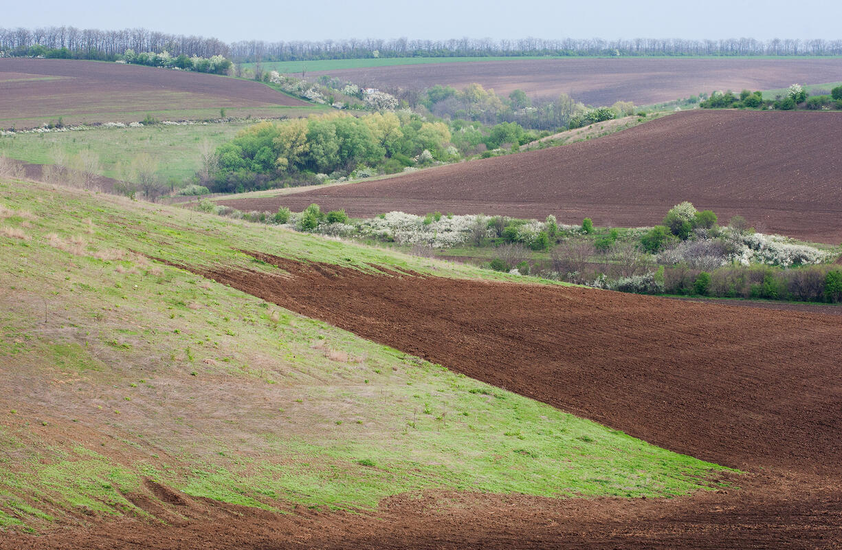 landscape