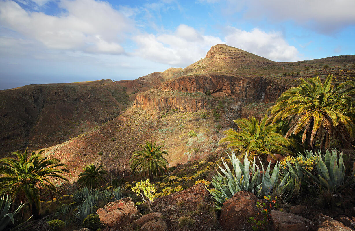 Gomera