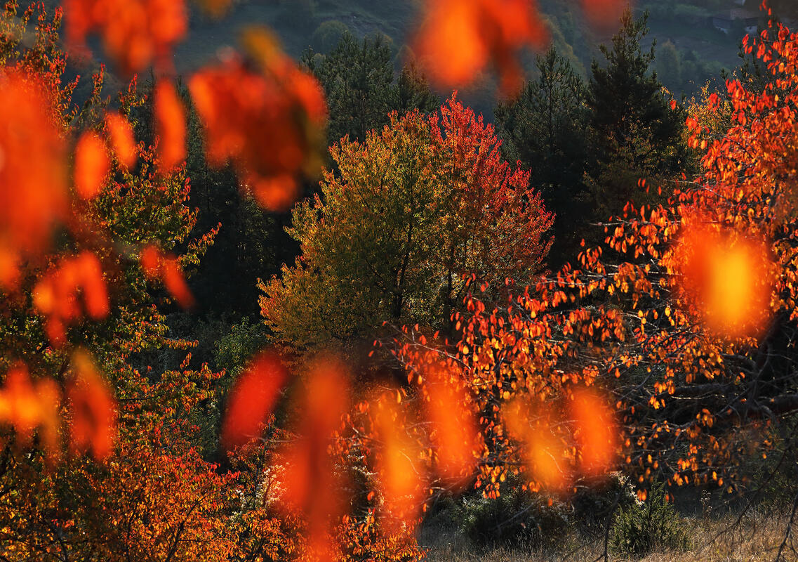 Bulgaria in autumn colors – landscape photography