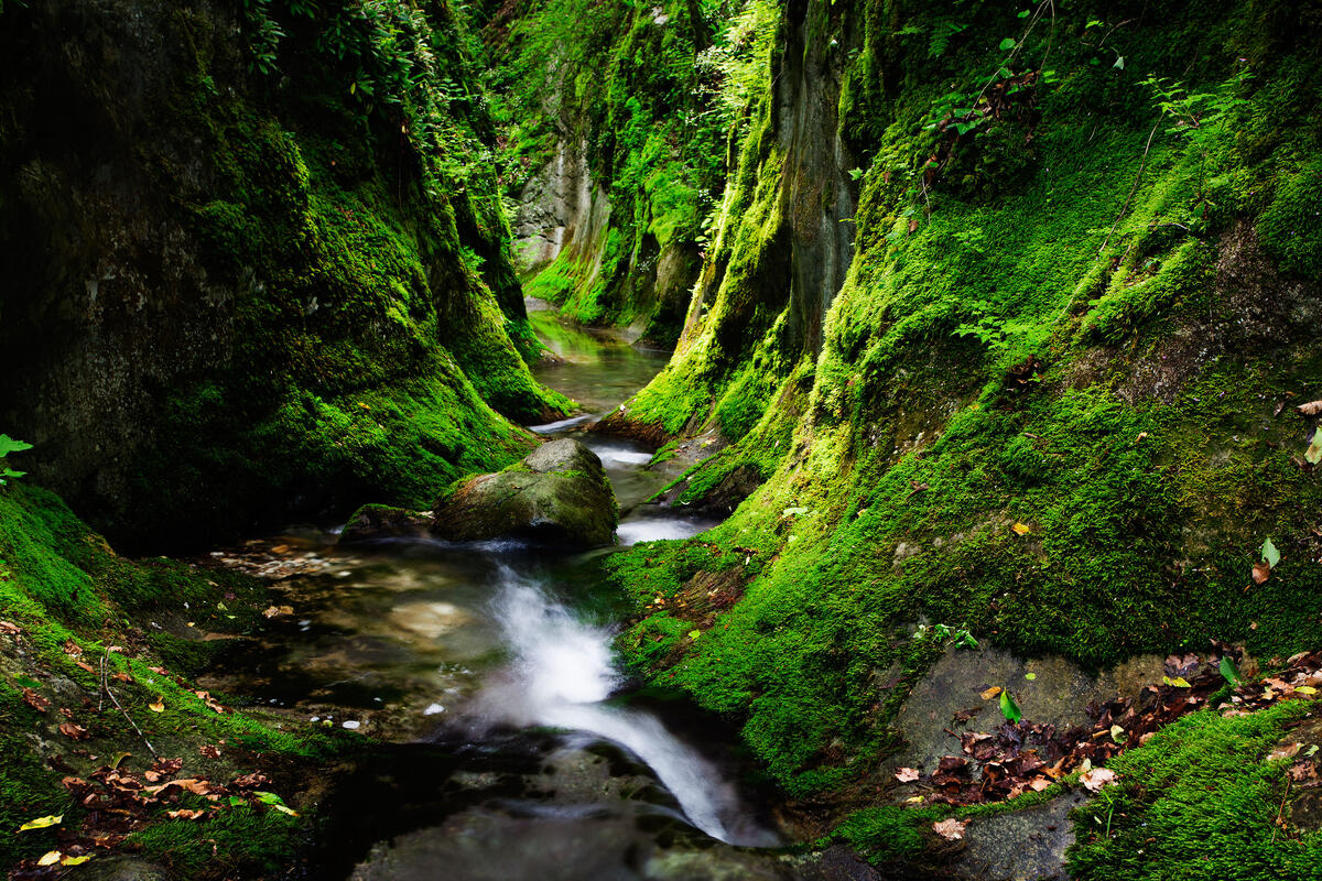 hidden in Rodopi