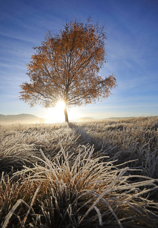 Bulgaria in autumn colors – landscape photography