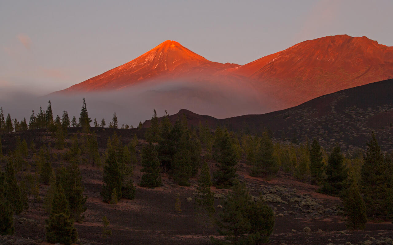 Tenerife